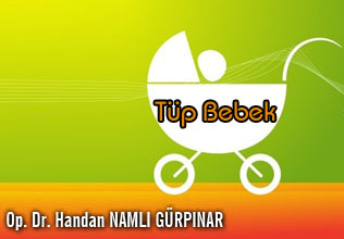 Tüp Bebek (Invitro fertilizasyon -IVF)