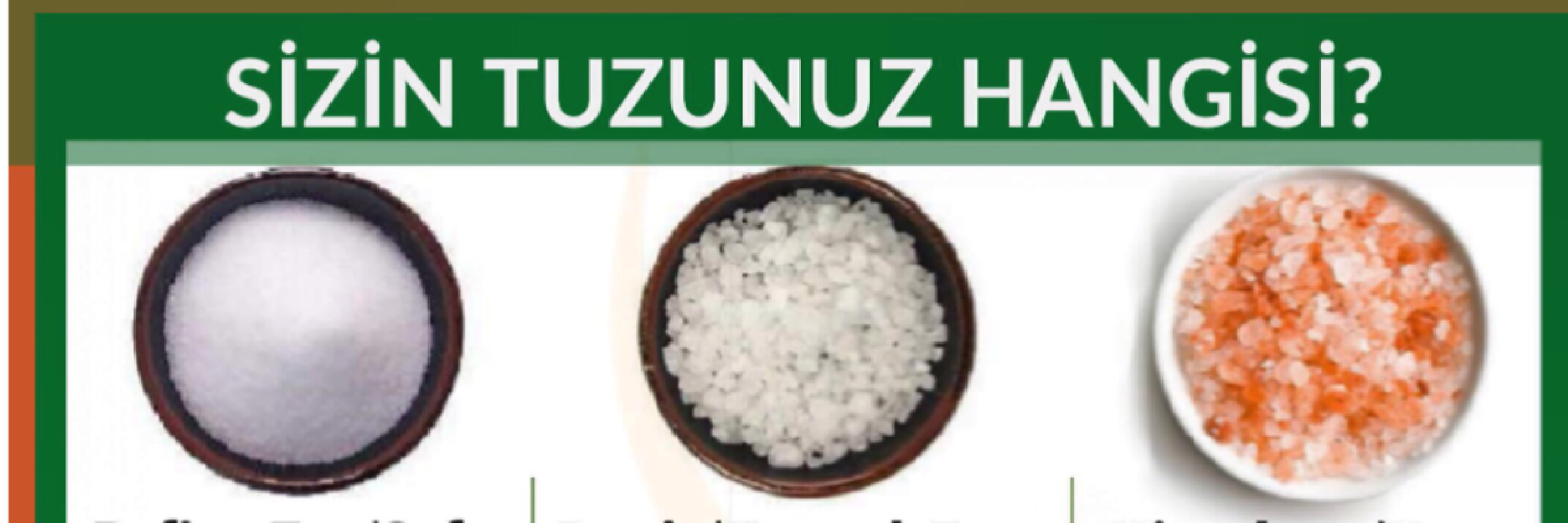 Hangi tuzu kullanmalı?