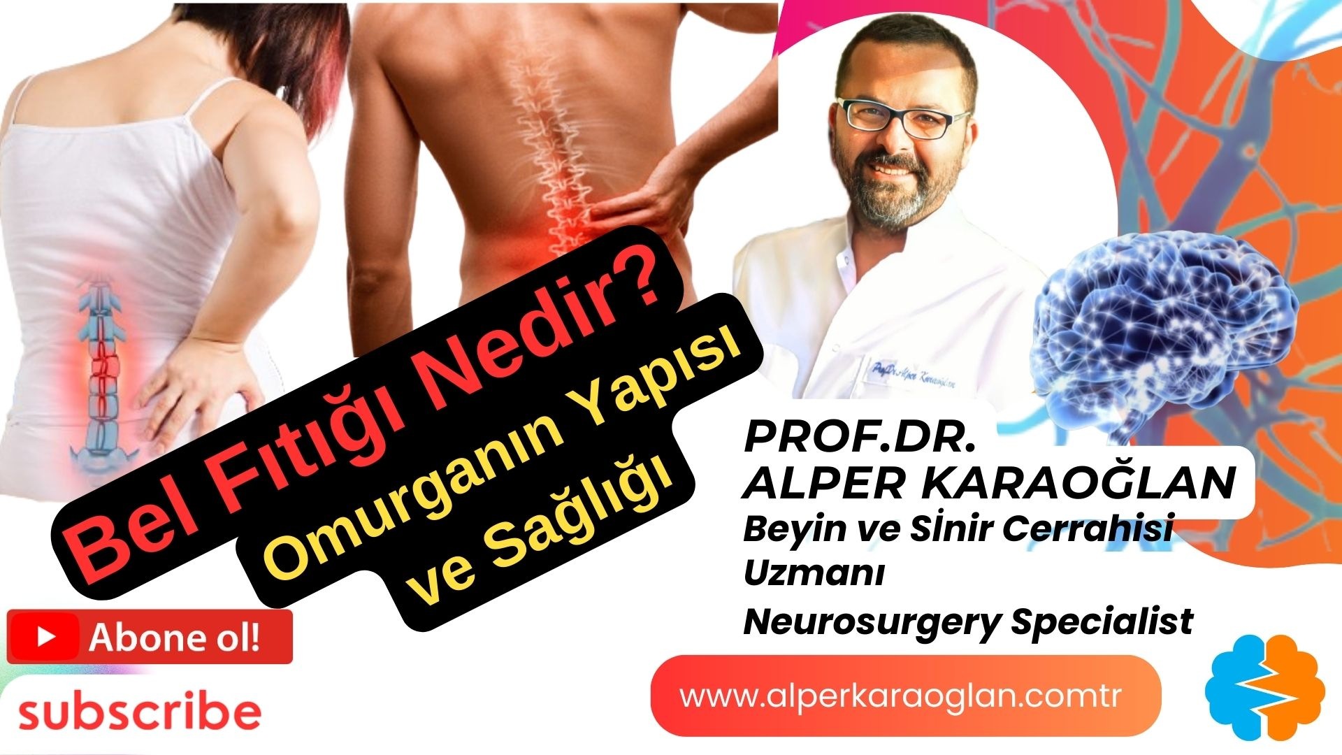 BEL FITIĞI Nedir? Nasıl Anlaşılır? Omurgamızın Yapısı ve Sağlığı
