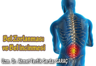 Bel Zorlanması ve Bel İncinmesi