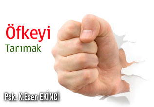 ÖFKEYİ TANIMAK makalesi