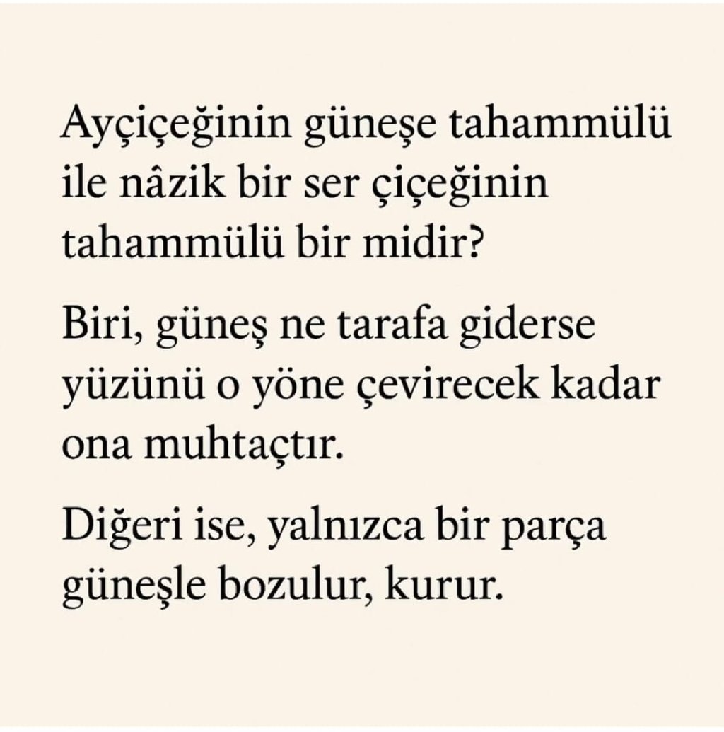AYÇİÇEĞİ VE SER ÇİÇEĞİ