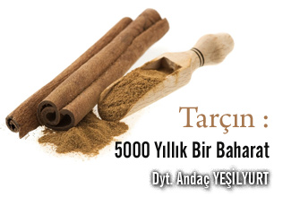 Tarçın : 5000 yıllık bir baharat makalesi