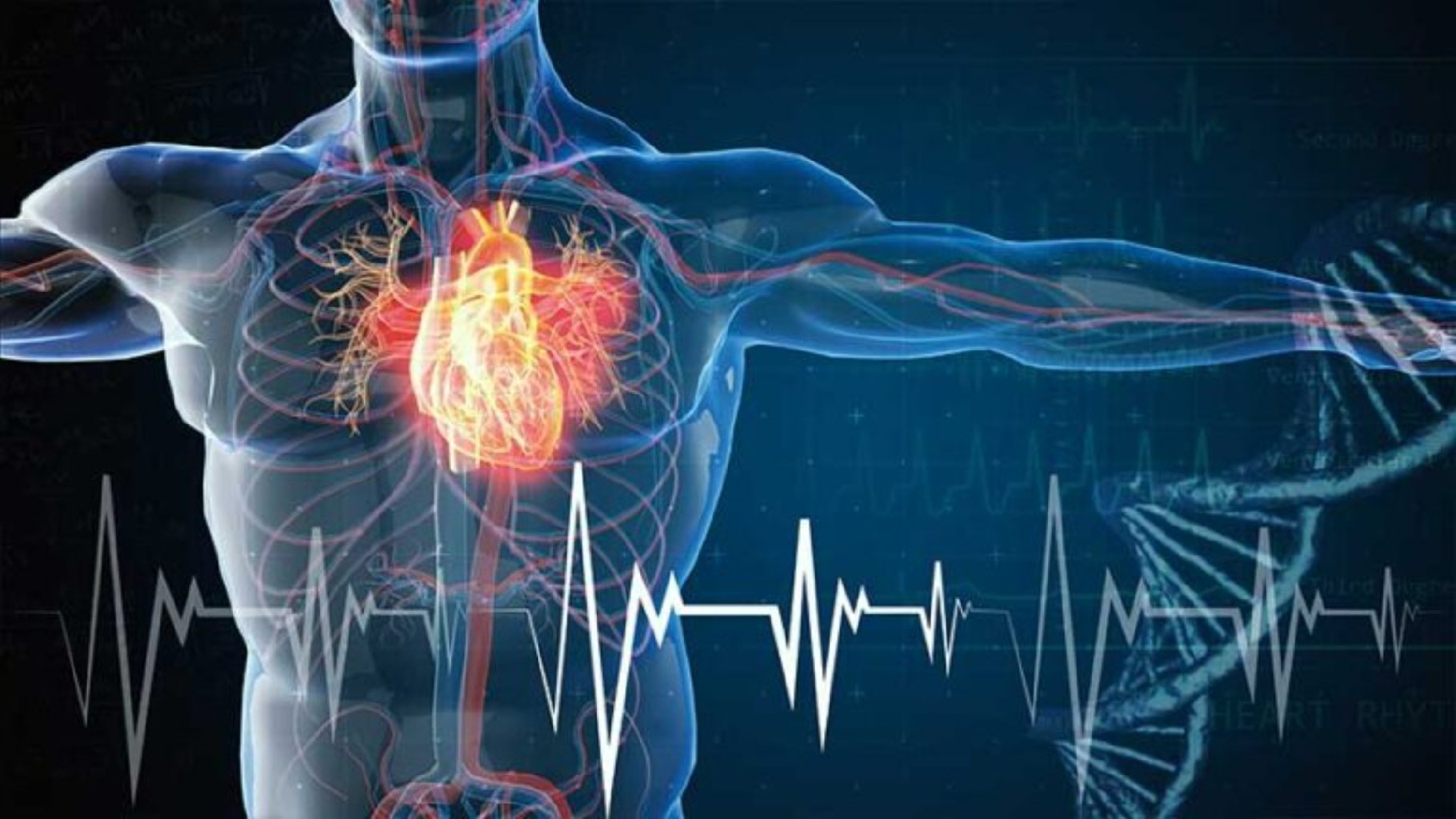 Aritmi Nedir ?