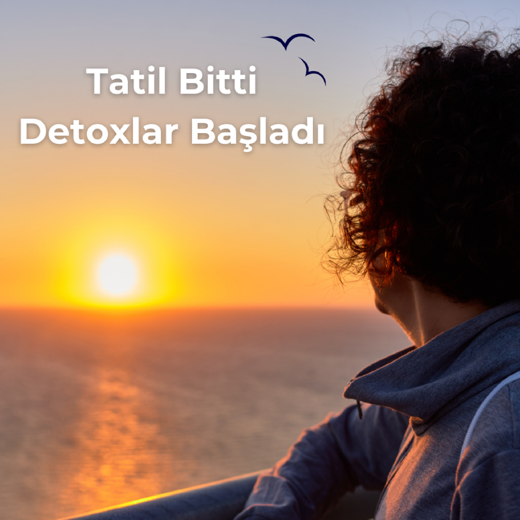 TATİL BİTTİĞİNDE "MUCİZE DETOKSLAR, YAĞ YAKAN BESİNLER" DEĞİL DENGELİ BESLENME TERCİH EDİLMELİ makalesi