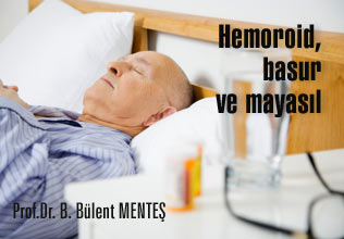 Hemoroid, basur ve mayasıl