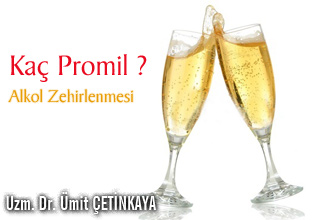 Kaç Promil ?  Alkol Zehirlenmesi makalesi