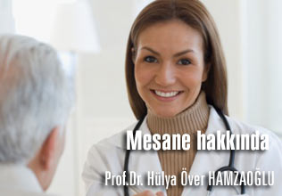 Mesane hakkında merak ettikleriniz.