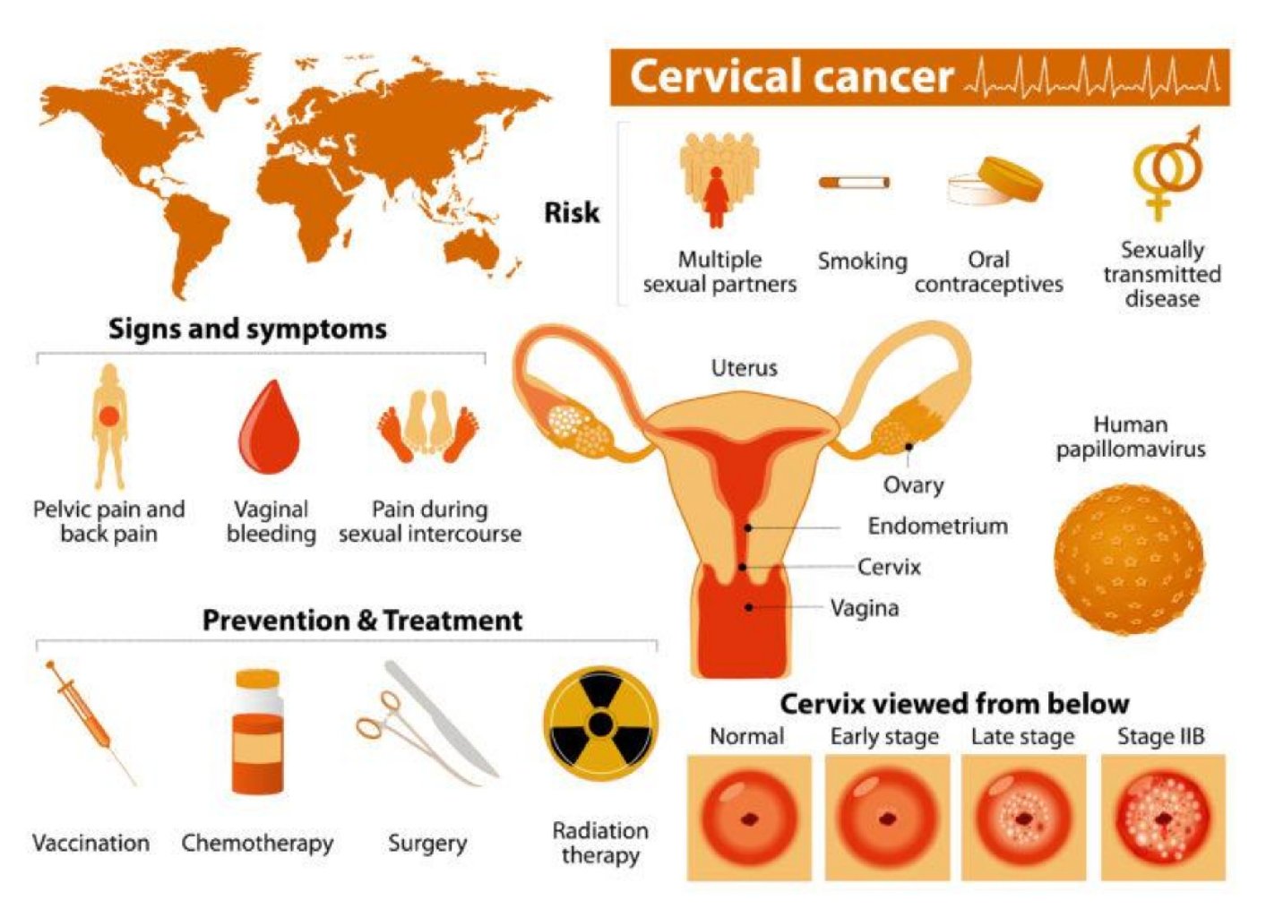 HPV Testleri ve Smear Testi makalesi