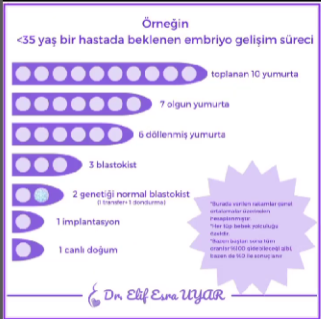 Tüp Bebek makalesi