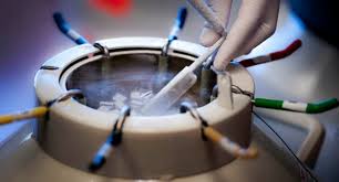 Embriyo&Blastokist Dondurma