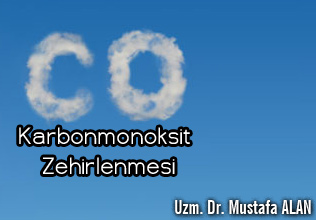 Karbonmonoksit  Zehirlenmesi makalesi