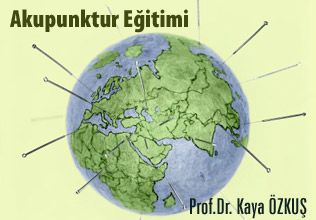 Akupunktur eğitimi; amaç ve beklentiler
