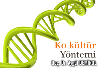 Ko-kültür Yöntemi