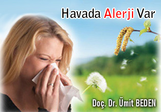 Havada Alerji Var makalesi