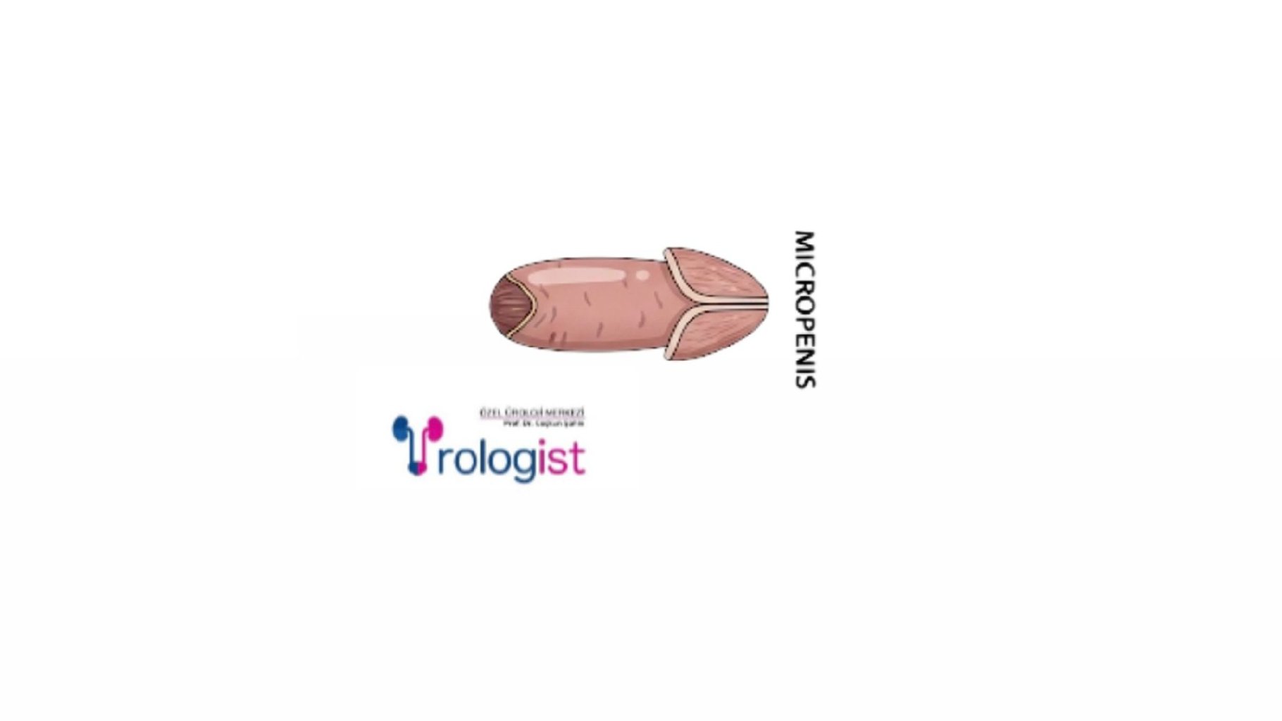 penis boyu gelişimi | çocuk ve yetişkin yaşa göre değerlendirme