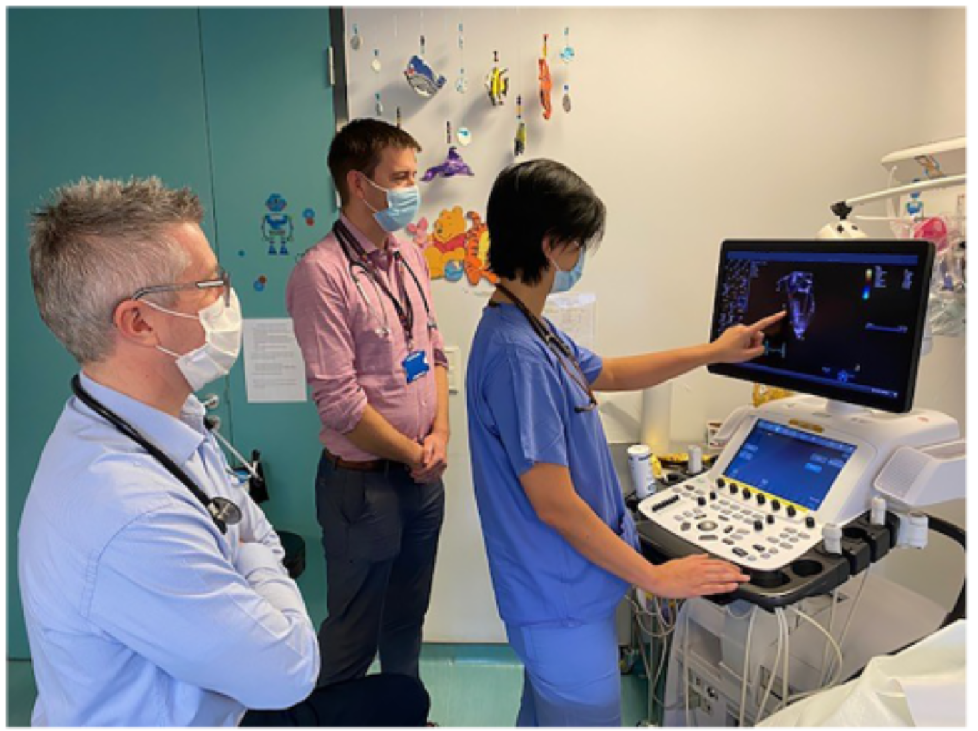 Paediatric and adult congenital cardiology education and training in Europe makalesi