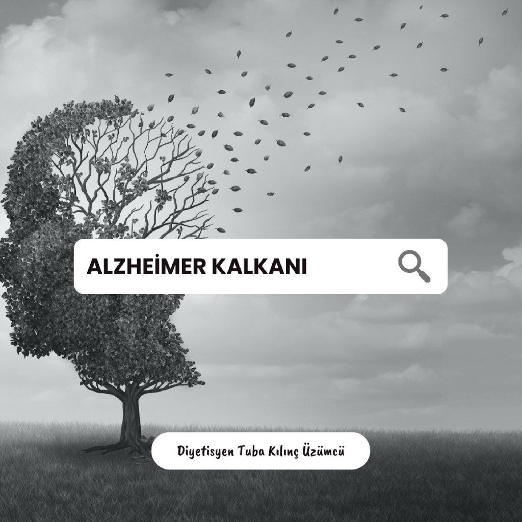 ALZHEİMER KALKANI