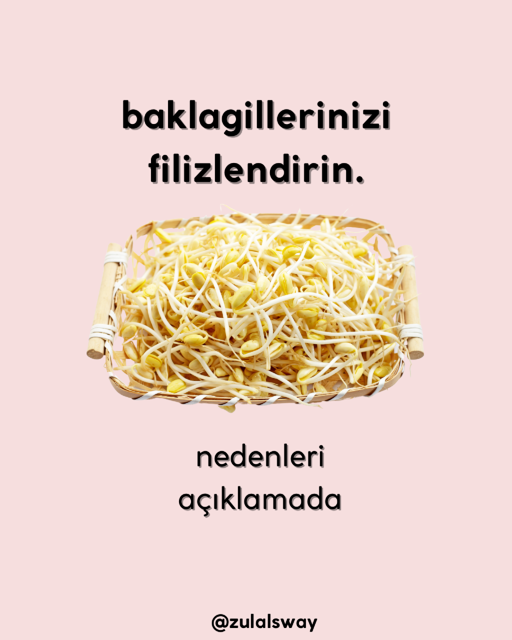 Baklagillerinizi filizlendirin makalesi
