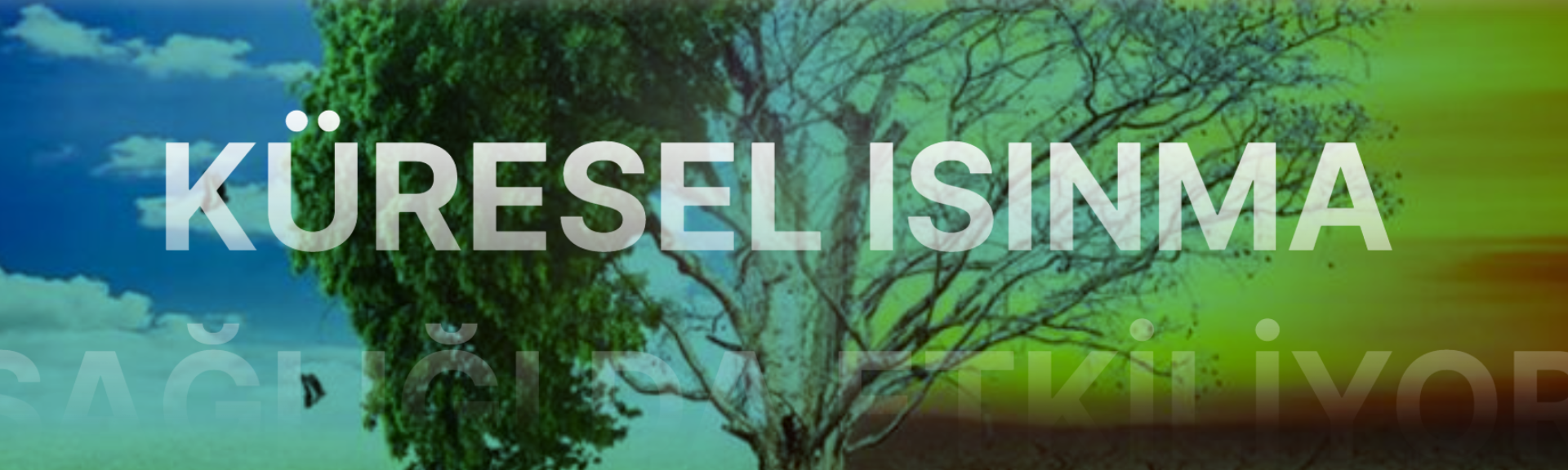 KÜRESEL ISINMA SAĞLIĞI DA ETKİLİYOR