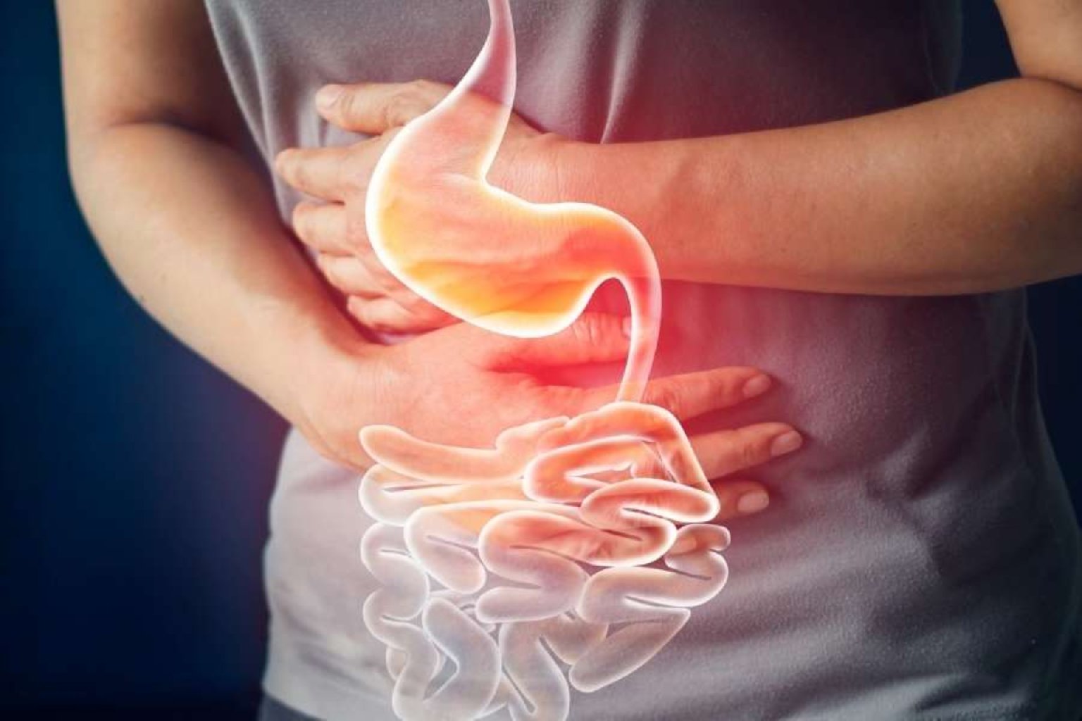 Gastro Intestinal Sistem (GIS) Kanamaları