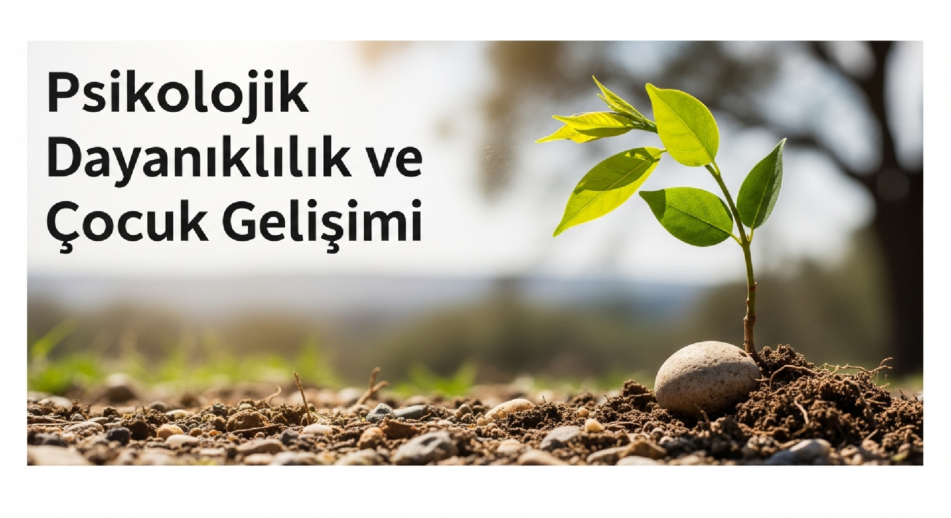 Psikolojik Dayanıklılık ve Çocuk Gelişimi
