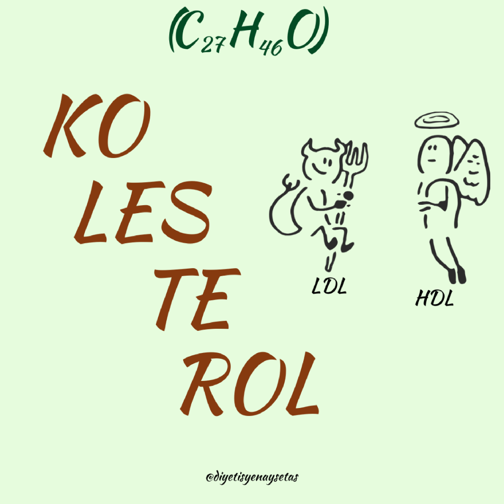 Kolesterol