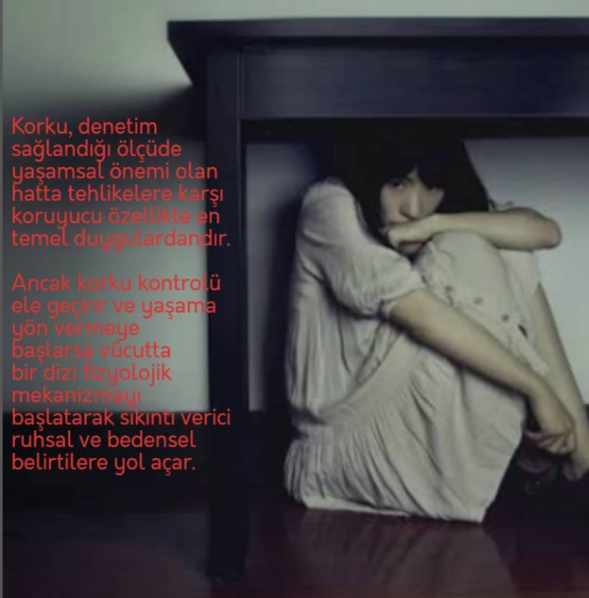 Korku Duygusu ve Bedene yansımaları