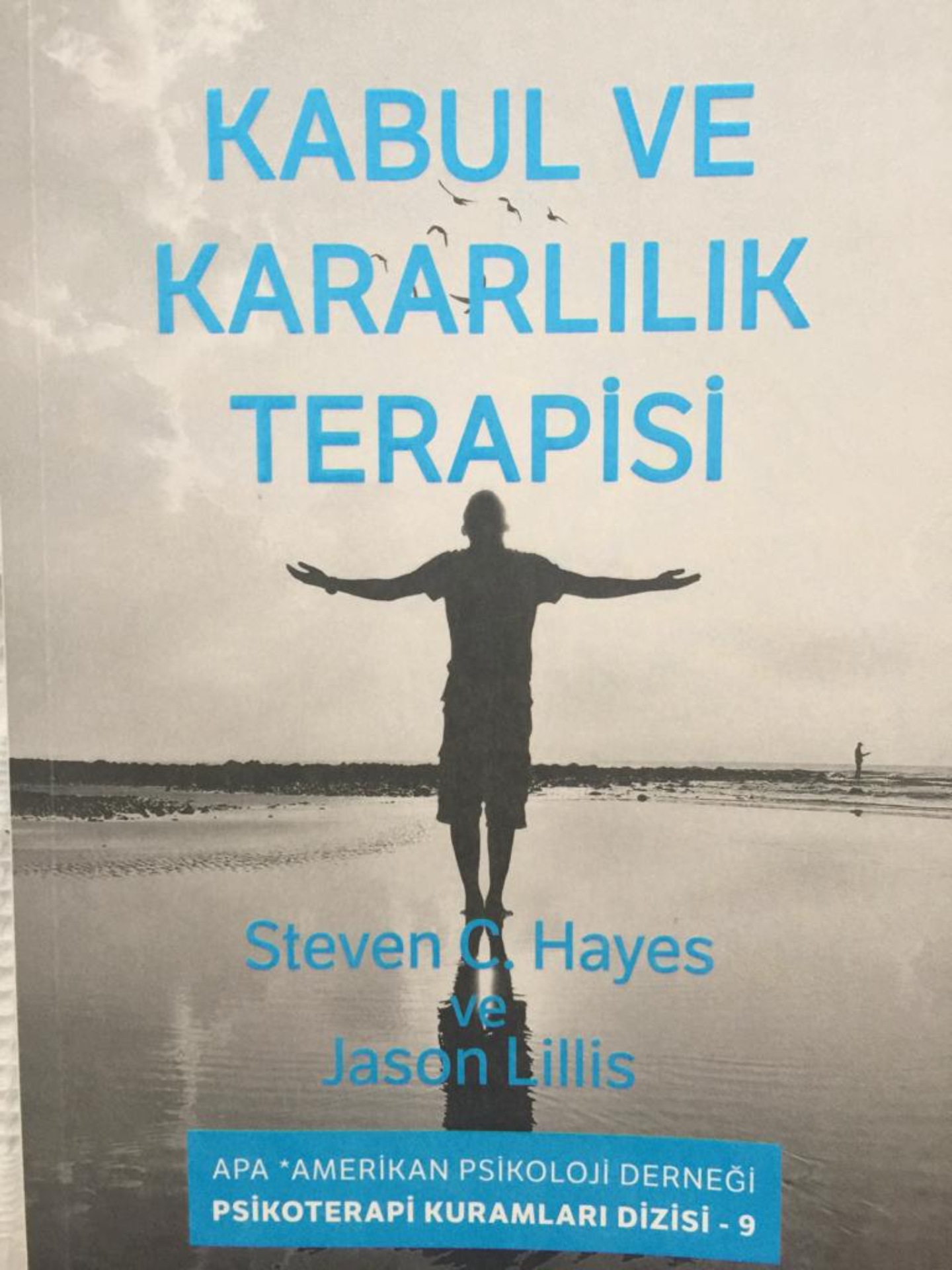 Kabul ve Kararlılık Terapisi makalesi