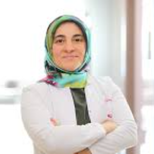 Dr. Öğr. Üyesi Fitnet Sönmezgöz