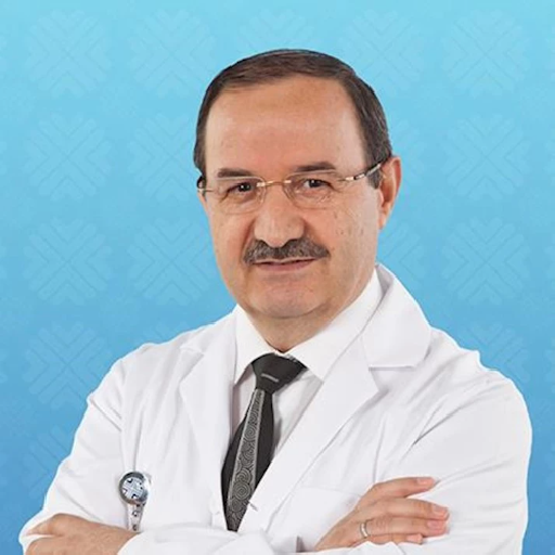 Prof. Dr. Elvan Tercan