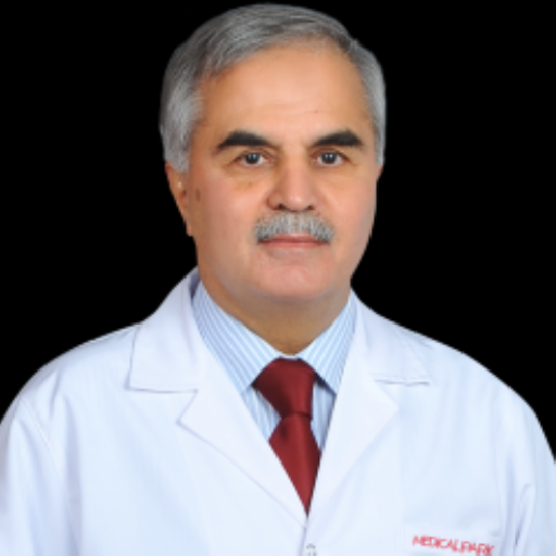 Prof. Dr. Mehmet Tosun
