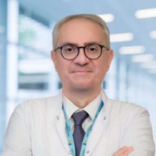 Prof. Dr. Bülent Aydınlı
