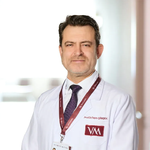 Prof. Dr. Tekin Şimşek