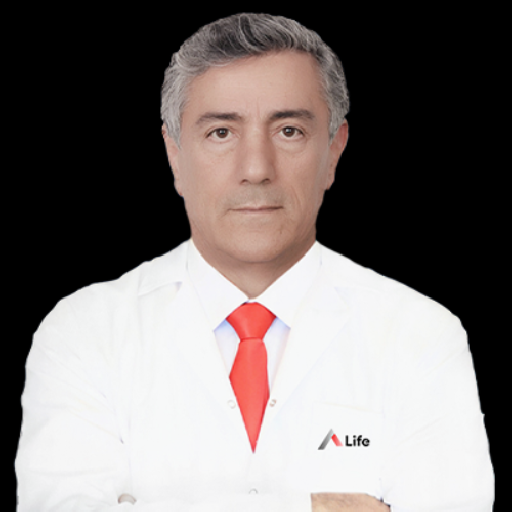 Prof. Dr. Faysal Gök