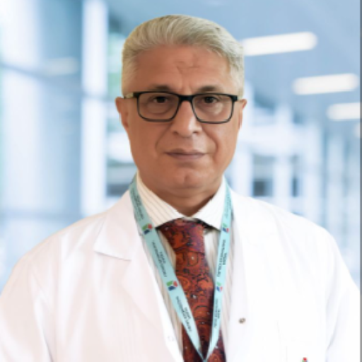 Prof. Dr. Sadullah Girgin