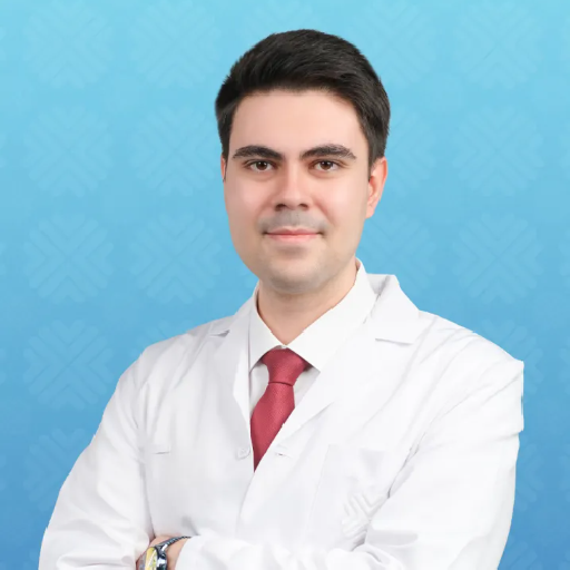 Arş. Gör. Efe Töre