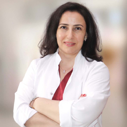 Dr. Demet Acar