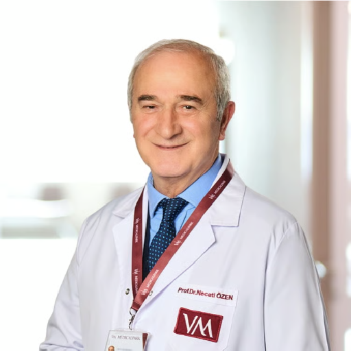 Prof. Dr. Necati Özen