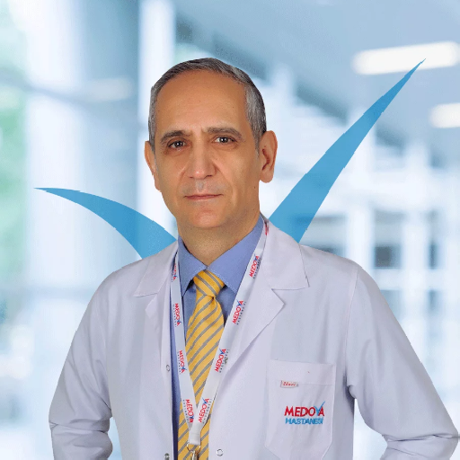 Prof. Dr. Engin Günel