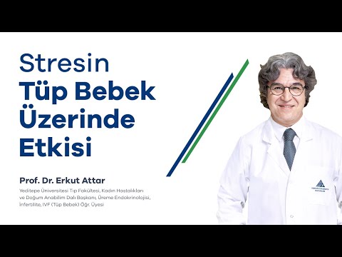 Stresin Tüp Bebek Üzerinde Etkisi