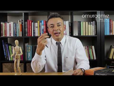Beyincik sarkmasının nedenleri nelerdir? Doç. Dr. Zafer Orkun Toktaş