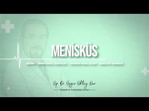 Menisküs Nedir? - Ortopedi ve Travmatoloji Uzmanı Op. Dr. Özgür Oktay Nar