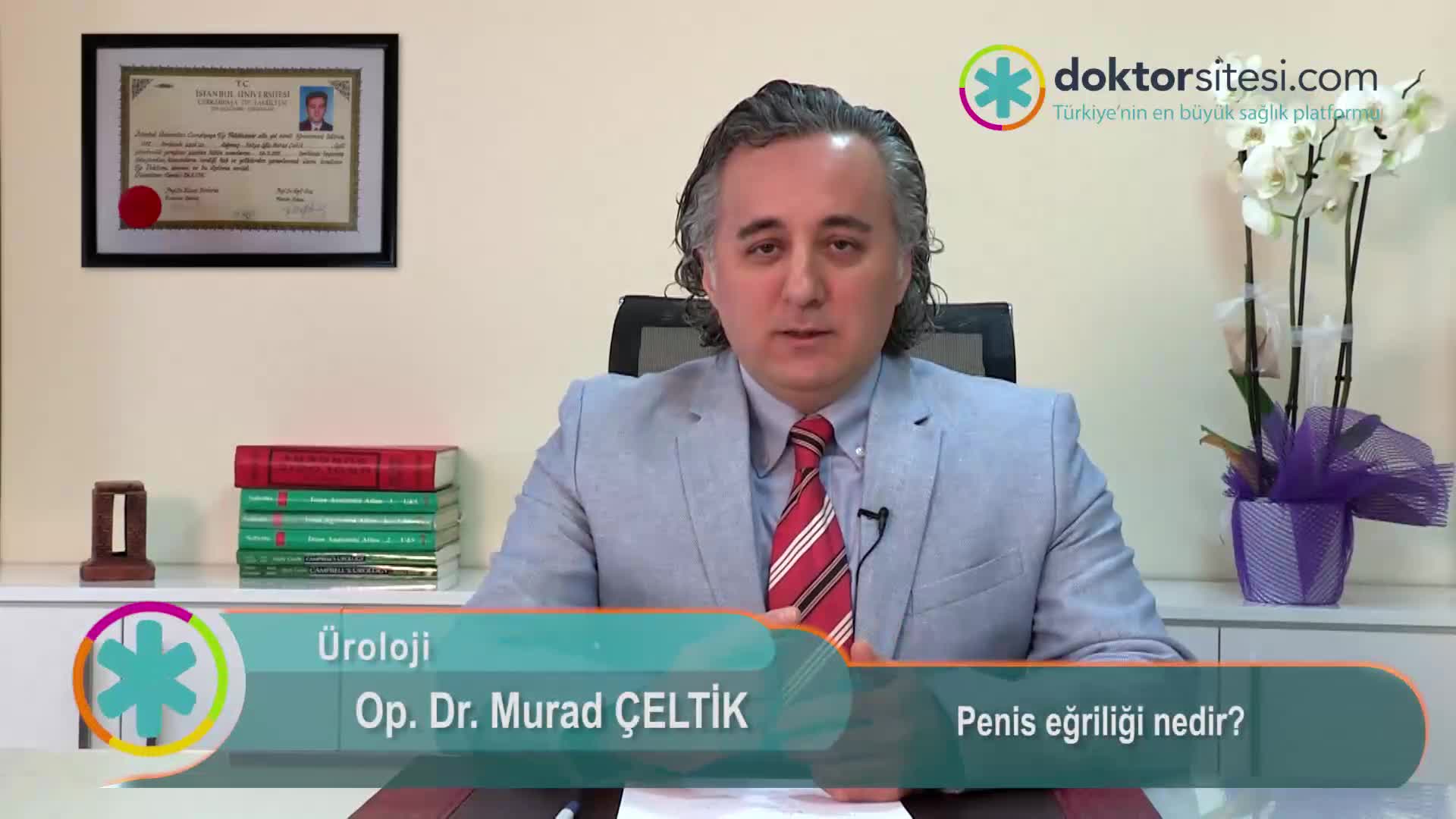 Penis eğriliği nedir?