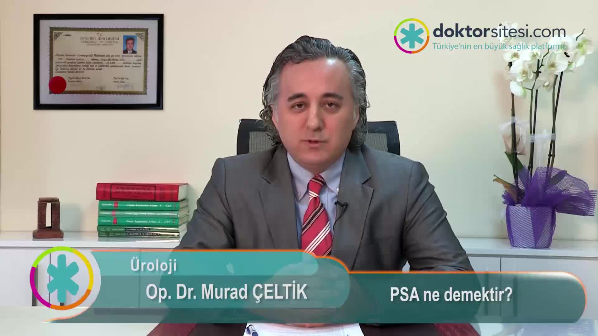 PSA ne demektir?