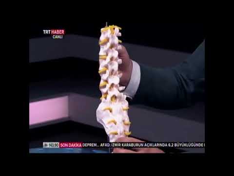 Bel fıtığı ve güncel tedavileri