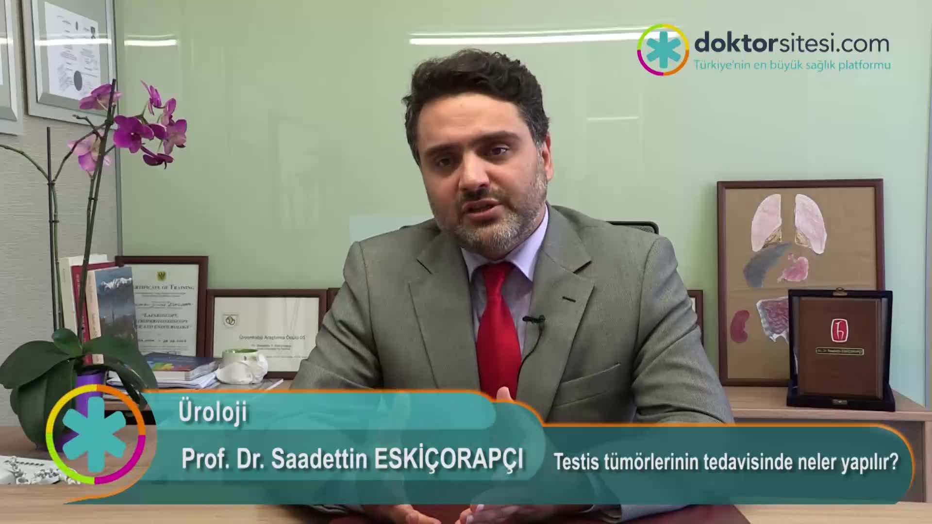 Testis tümörlerinin tedavisinde neler yapılır?