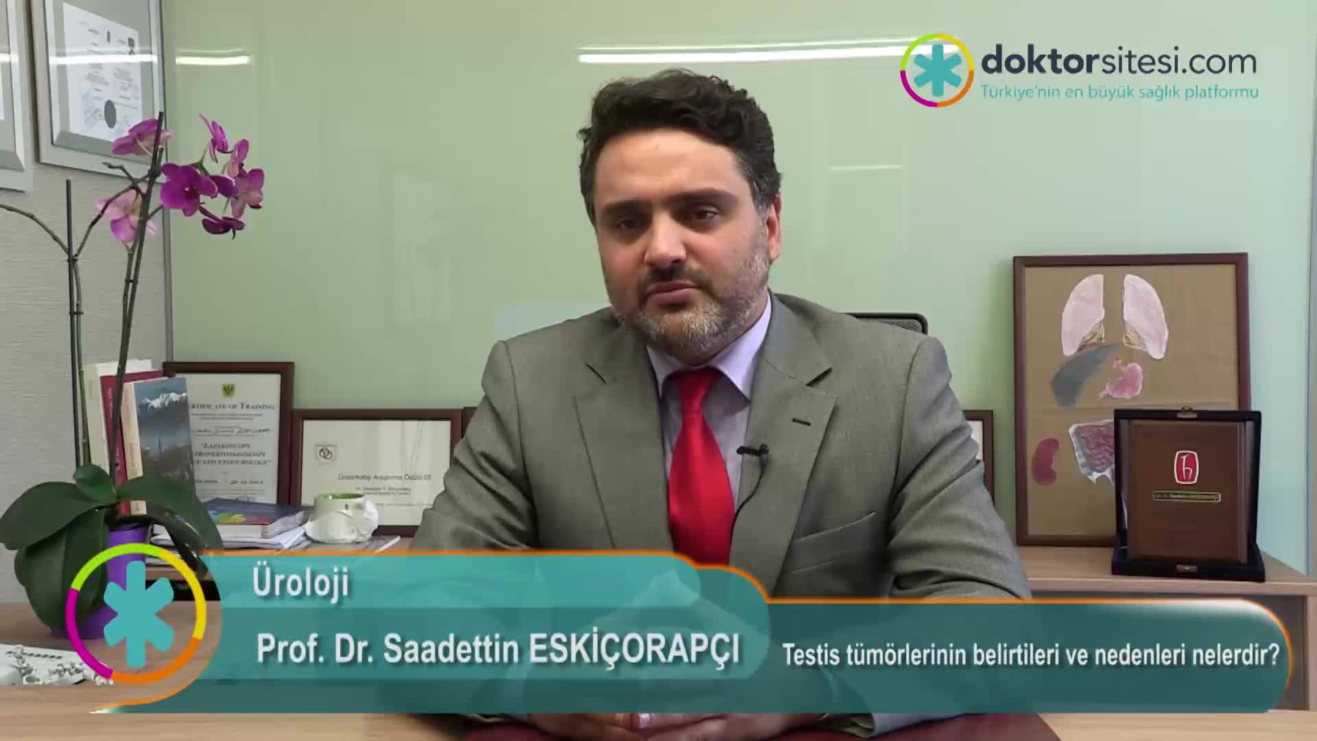 Testis tümörlerinin belirtileri ve nedenleri nelerdir?