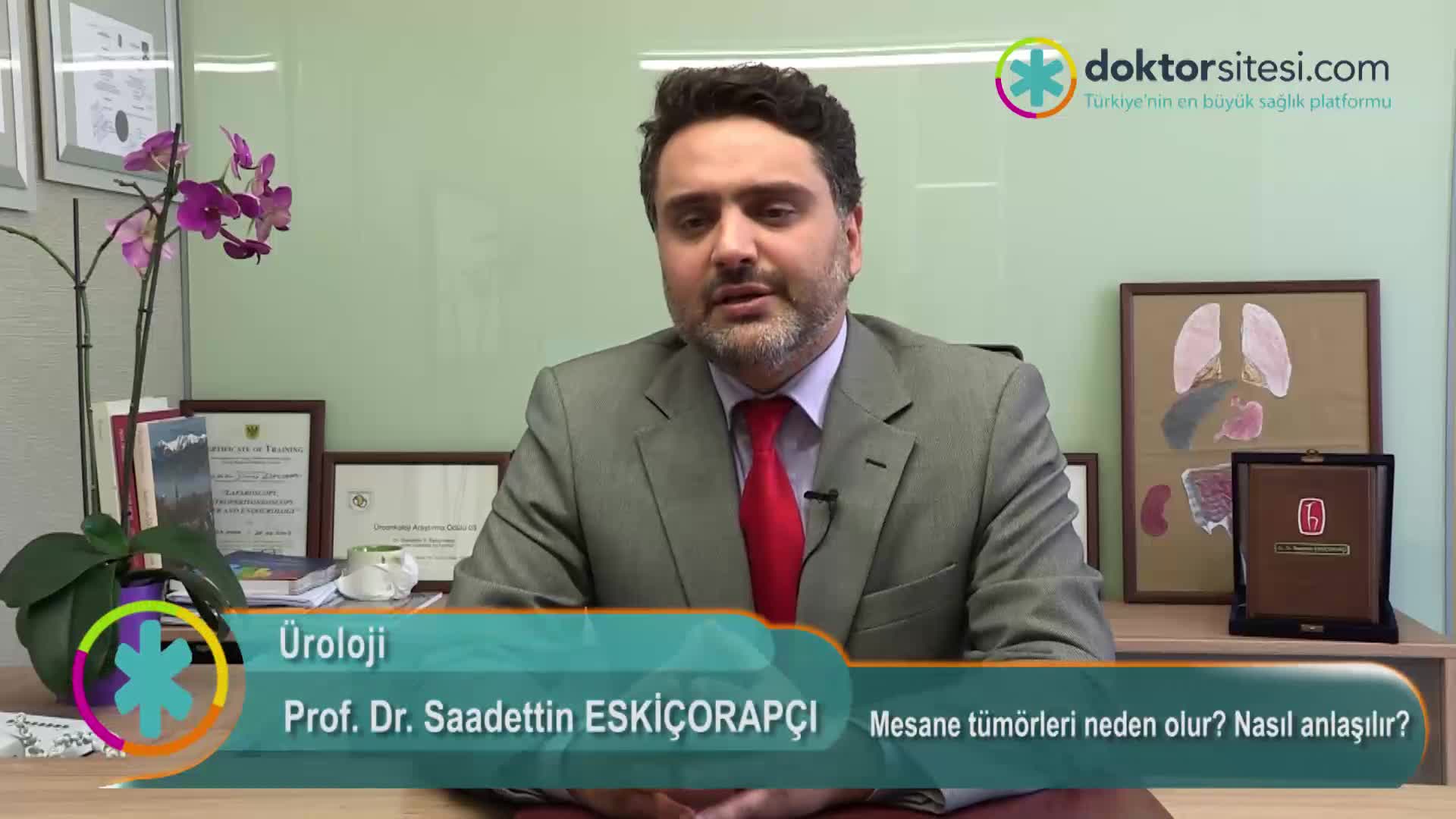 Mesane tümörleri neden olur? Nasıl anlaşılır?