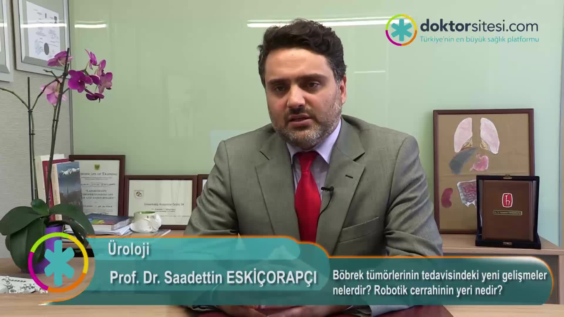 Böbrek tümörlerinin tedavisindeki yeni gelişmeler nelerdir? Robotik cerrahinin yeri nedir?